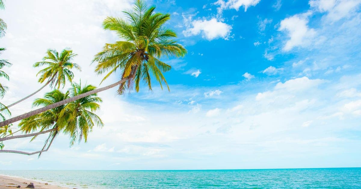 Imagen dividida comparando terrazas de arroz de Bali y playas de Tailandia