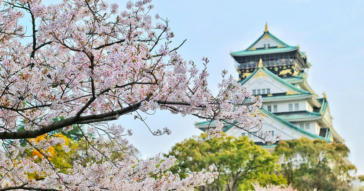 Traditional torii gates in Kyoto, Japan with cherry blossoms