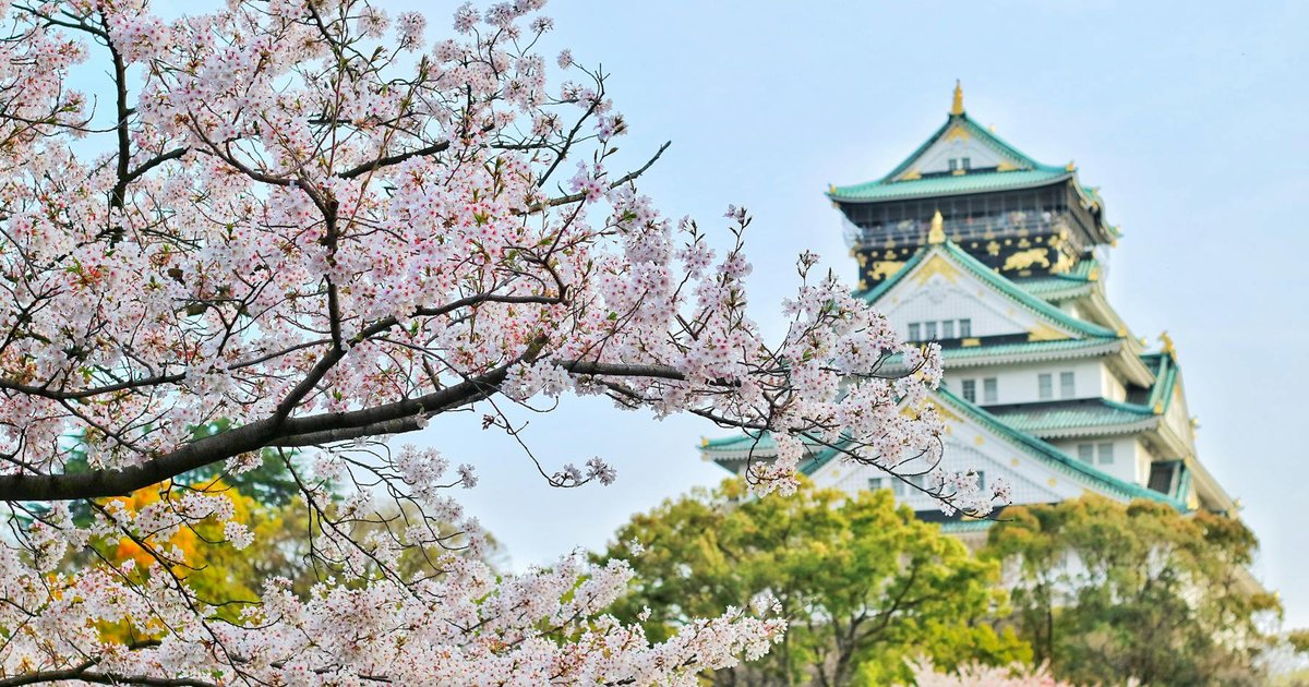 Traditional torii gates in Kyoto, Japan with cherry blossoms